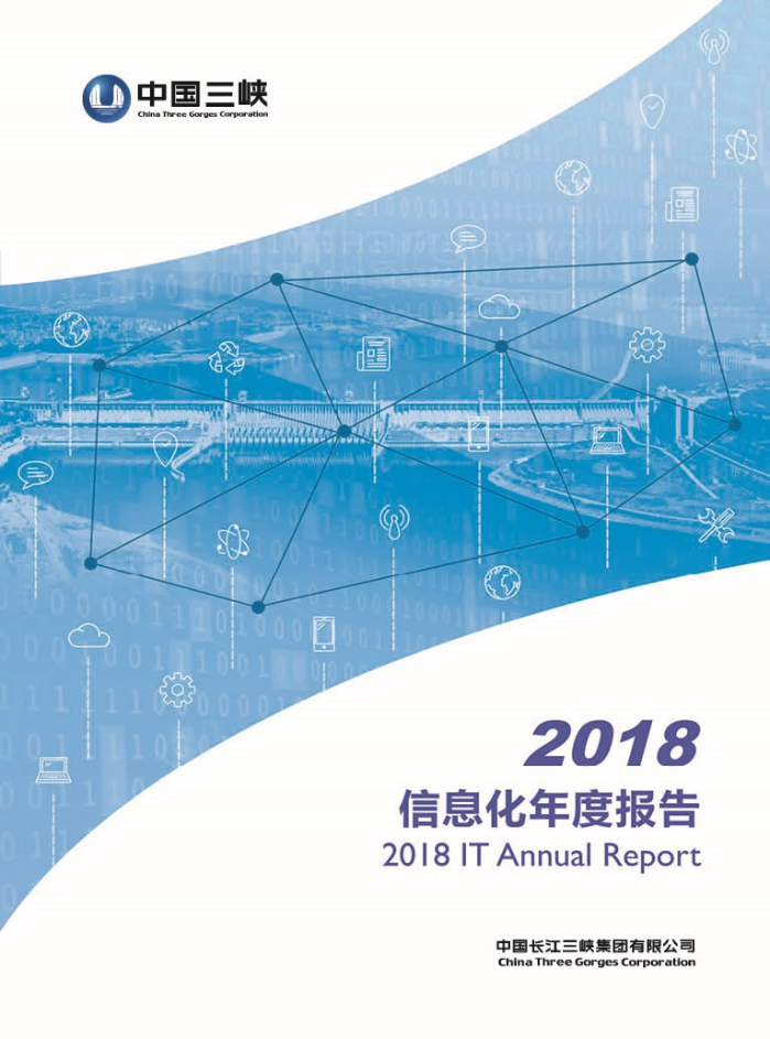 集團公司IT年度報告2018